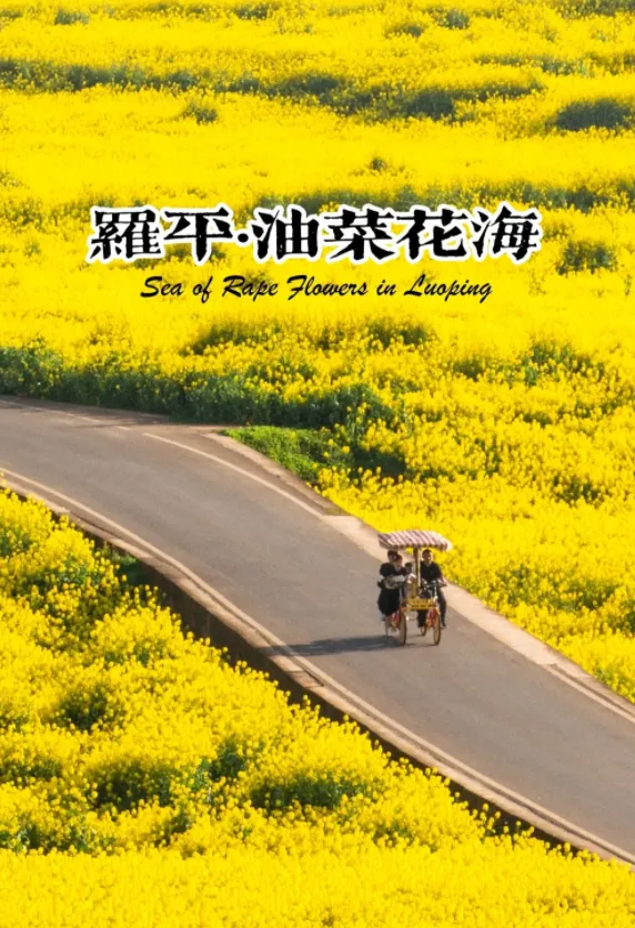 36e2904e93880d98f11da593c5f76f13-sz_1281243