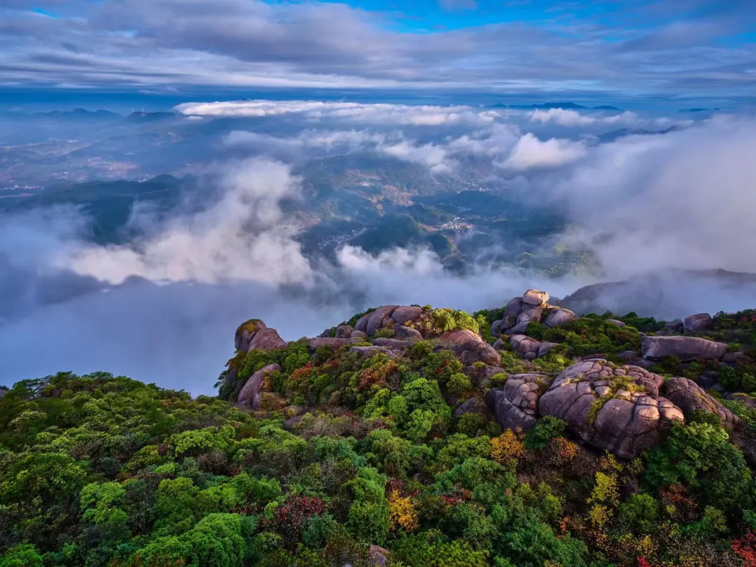 36e990f4eade1ff18b6746ec013f8429-sz_364229