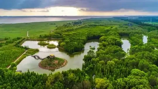 371d60e02cfa75bd96cbfcff46234265-sz_399721