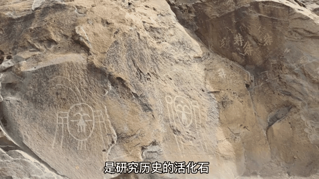 377e3df328b4d28788a85ccd71e7173d-sz_5057160