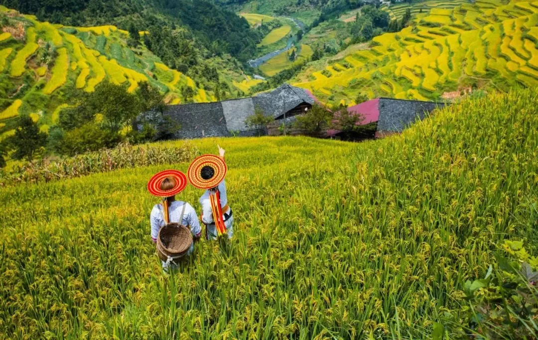 379e439ddfdd7c60f5563ab90810b266-sz_2245437