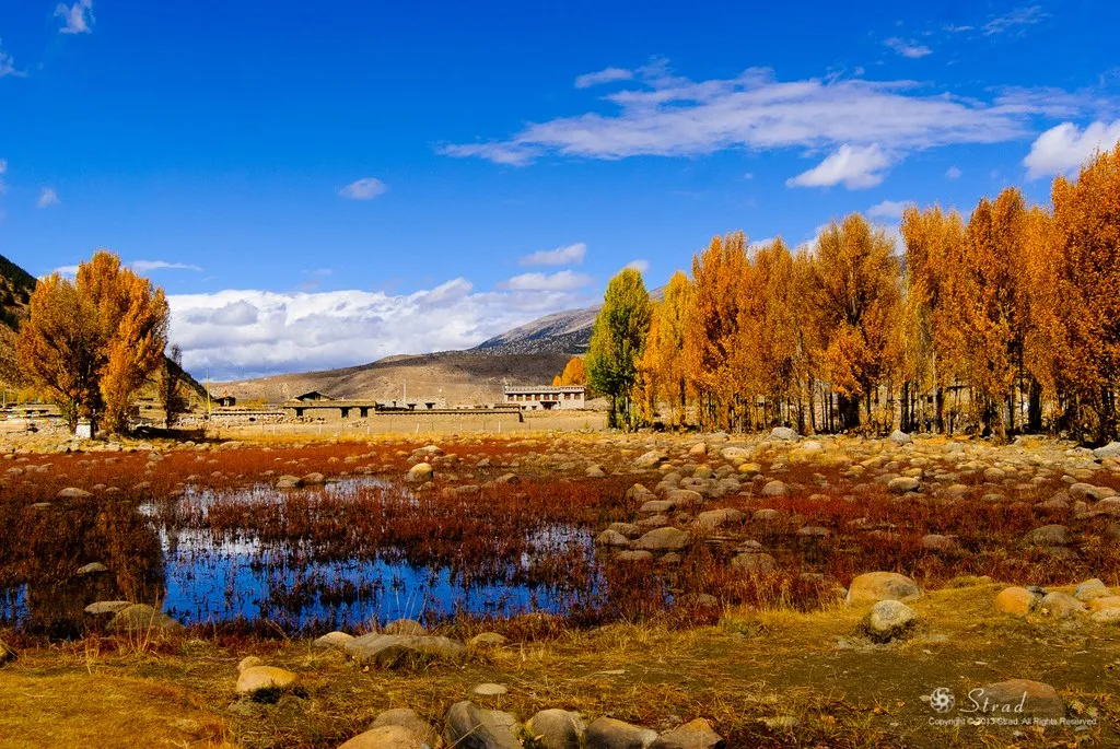 37a477dc8746bcba81edc8f7e895c08b-sz_273608 37a477dc8746bcba81edc8f7e895c08b-sz_273608