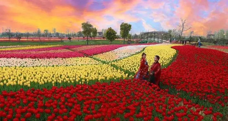 37a83f936ba5dc1712705e22c2e9dbc5-sz_75072