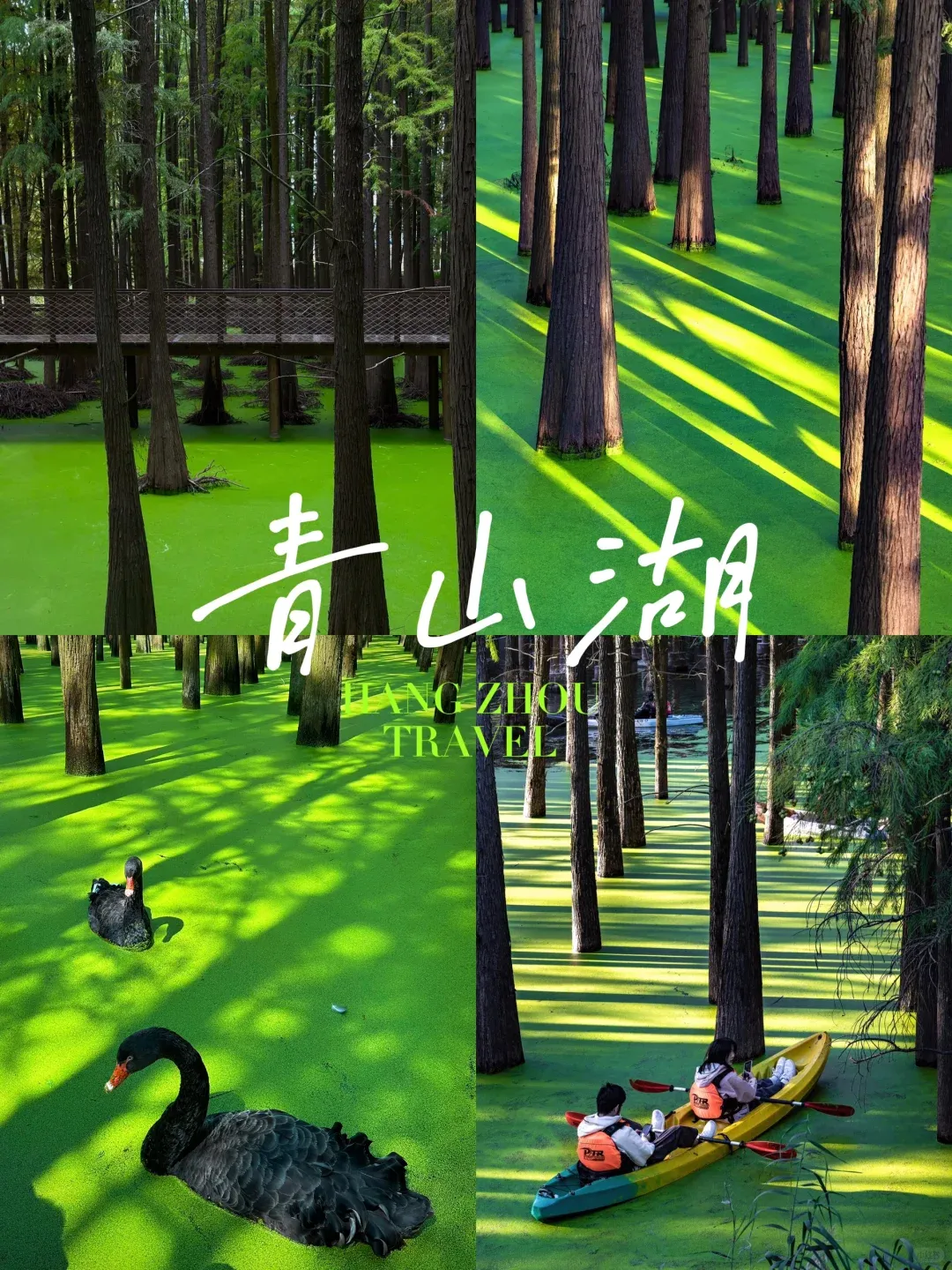 37dc6aa33d18816d630d497728759762-sz_3966005