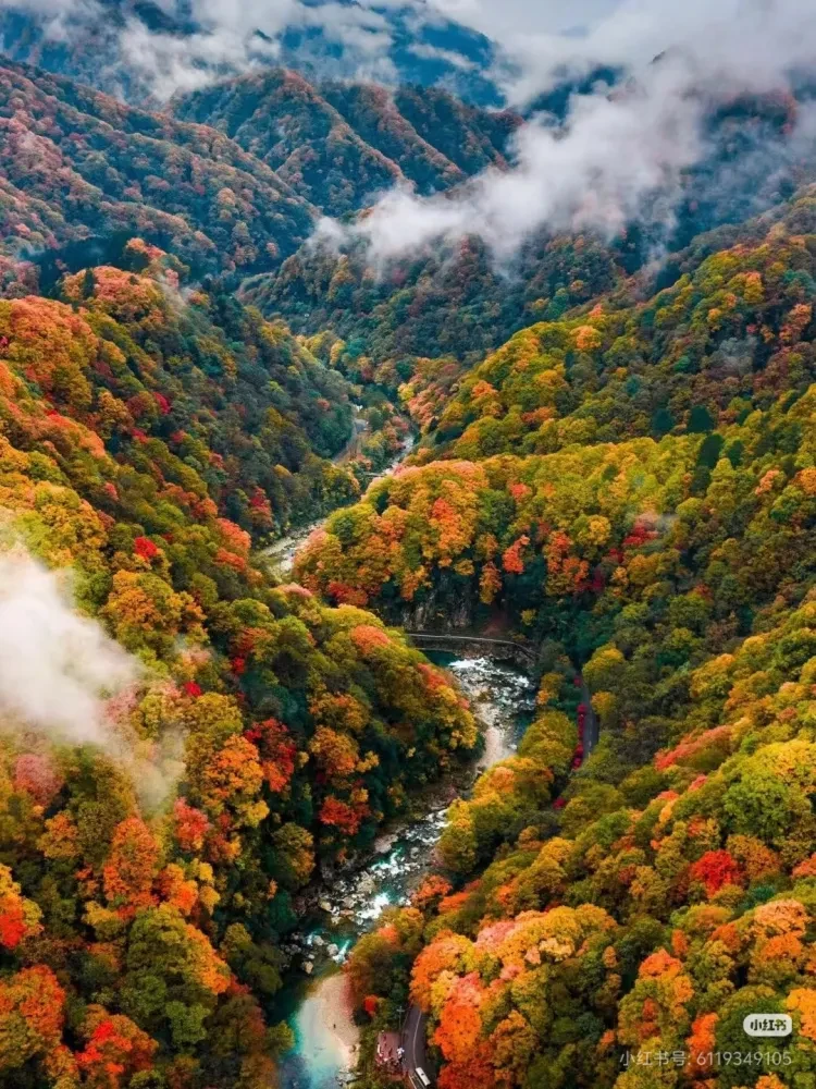 37f5aee7807f02f1e36af022666917b2-sz_1167978