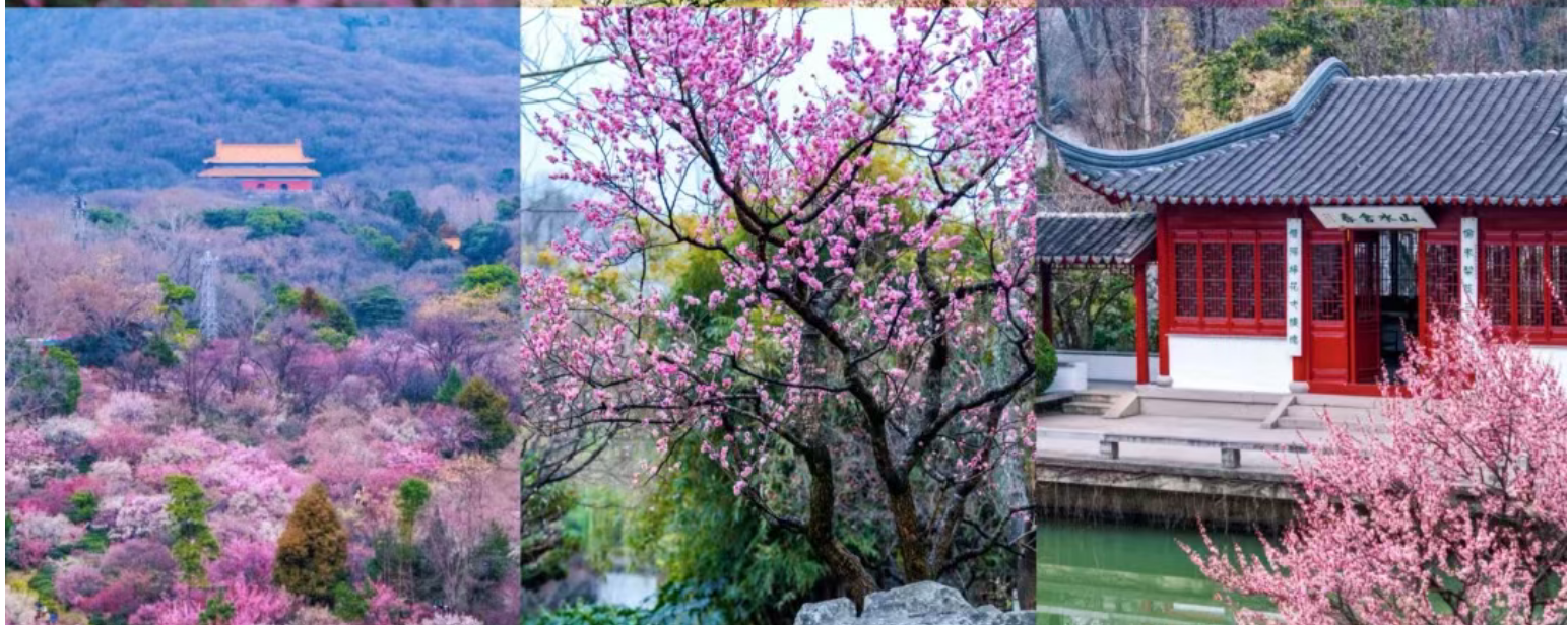 3812bf1ac597821ce00dd029d9013f4d