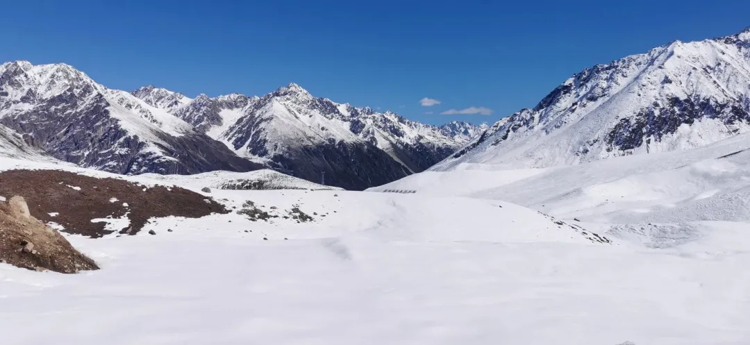 381654f50739a0738b5768a7756c0ddb-sz_523798