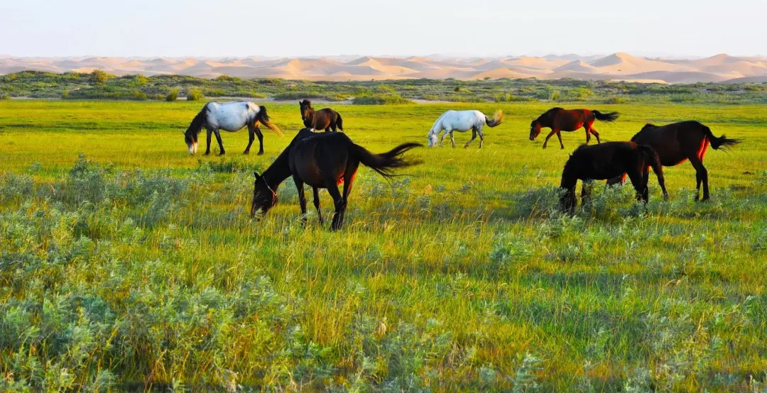 3852a38ee15348d71832f368894df6de-sz_404703