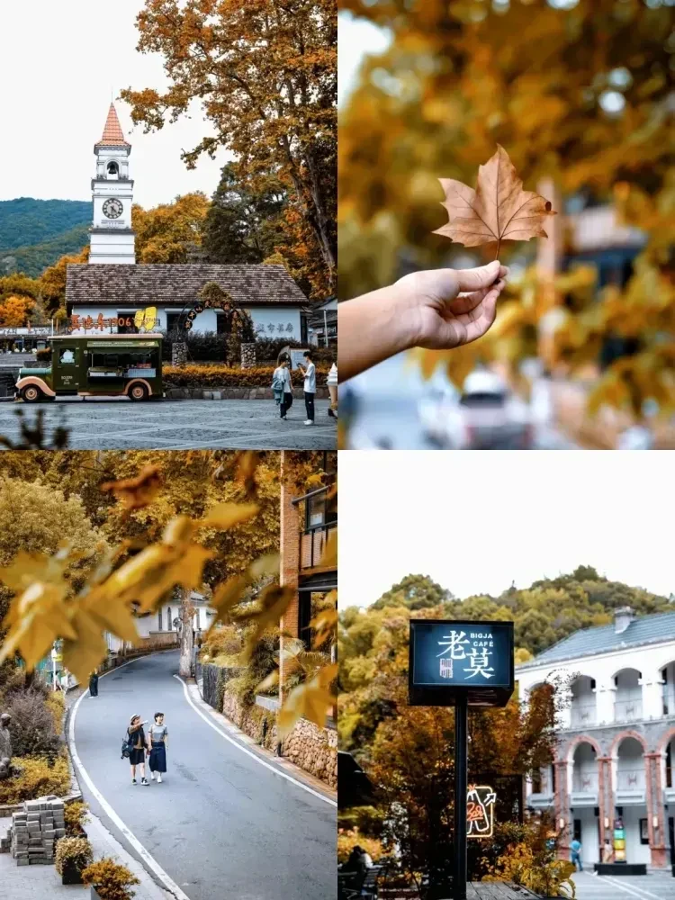 386cb4a5e28e945dd100fe5b60722b22-sz_1725154