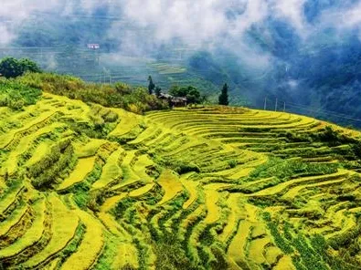 3898c9e067be192608e1d158a5b26ad4-sz_131284