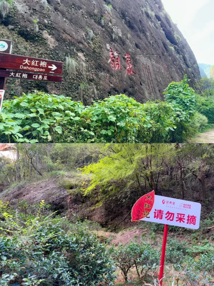 390fad20c452e68d4f5b5876e5a07a54-sz_4293053 390fad20c452e68d4f5b5876e5a07a54-sz_4293053