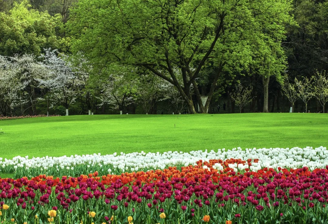 391d986490bacd43926125aef5c5a68e-sz_1675376