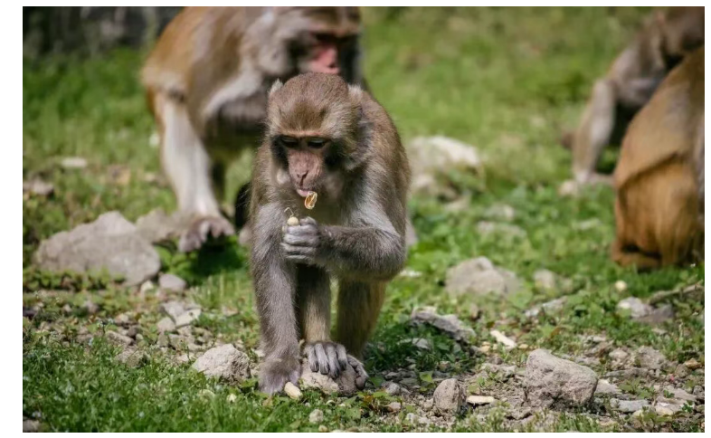 396a9e50a90d859965dadc37508ac8b3