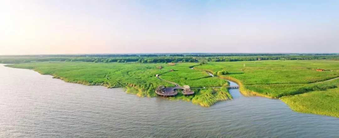 399c0178cef219067e62a85ed70eb090-sz_164287