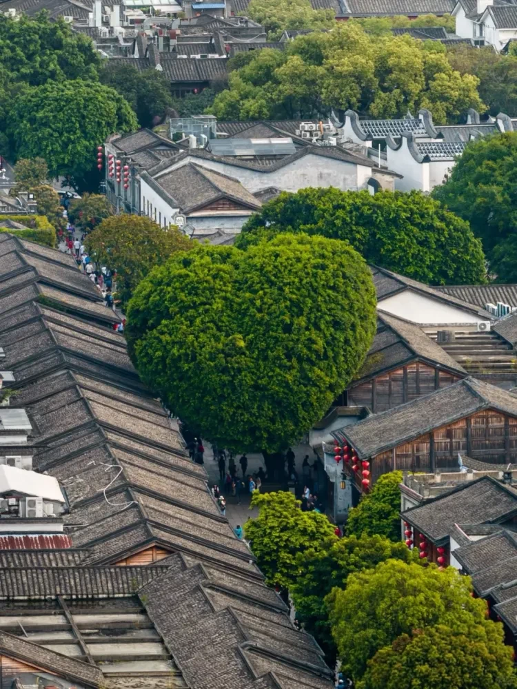 39a6c05262202951a684391e553dc3bd-sz_4095288 39a6c05262202951a684391e553dc3bd-sz_4095288