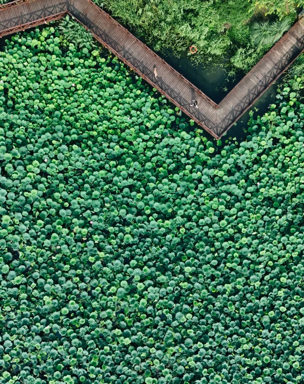 39e528d4b4e63f3ee5ca340b2a5a99e6-sz_727047 39e528d4b4e63f3ee5ca340b2a5a99e6-sz_727047