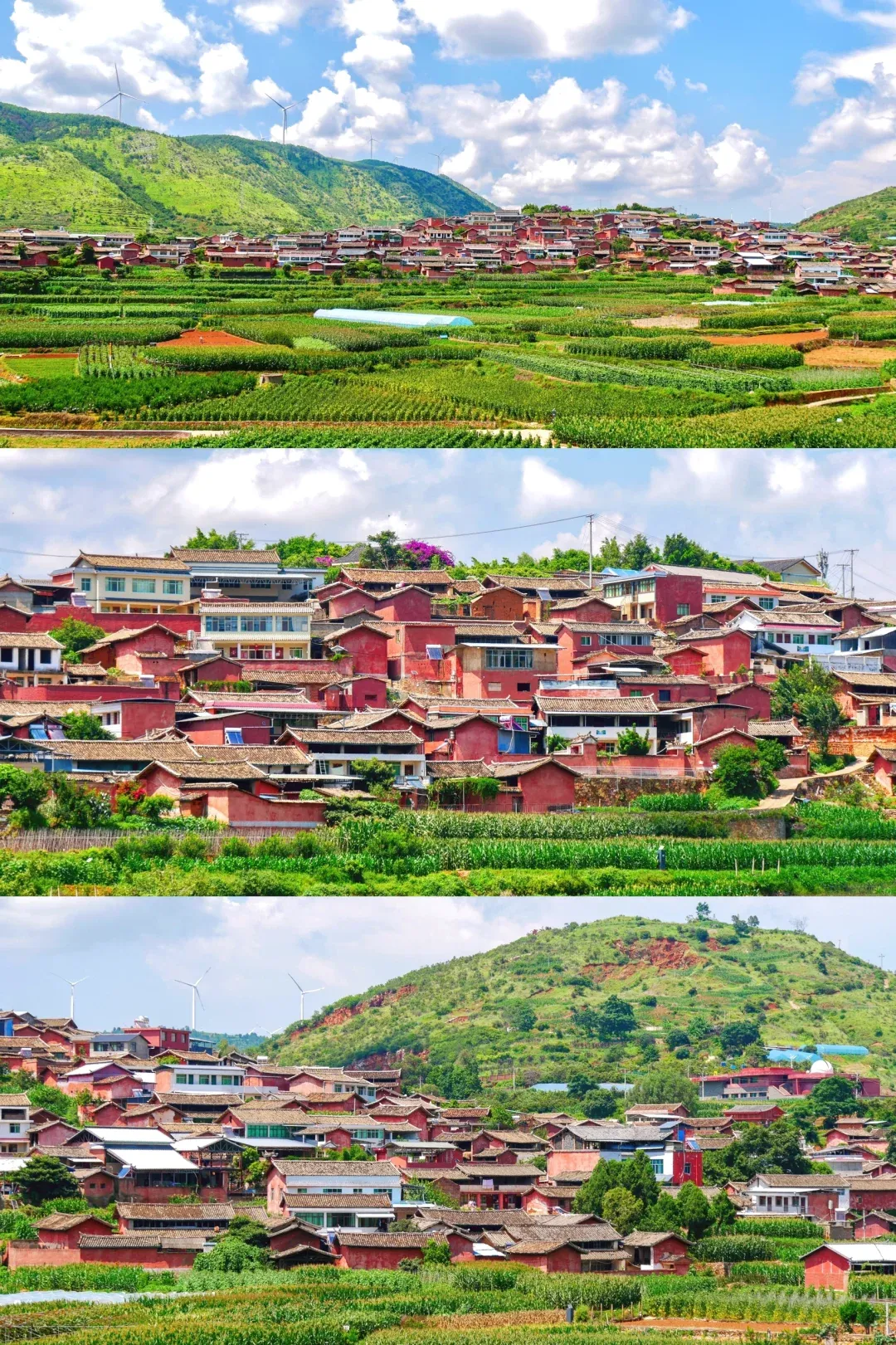 3a90b6882dcd21e6c60d0c22c0e5dfe1-sz_3665433