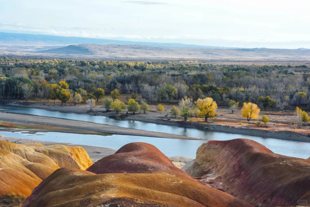 3acfb2f0de91609db0cf2da1ec7a35f2-sz_450779