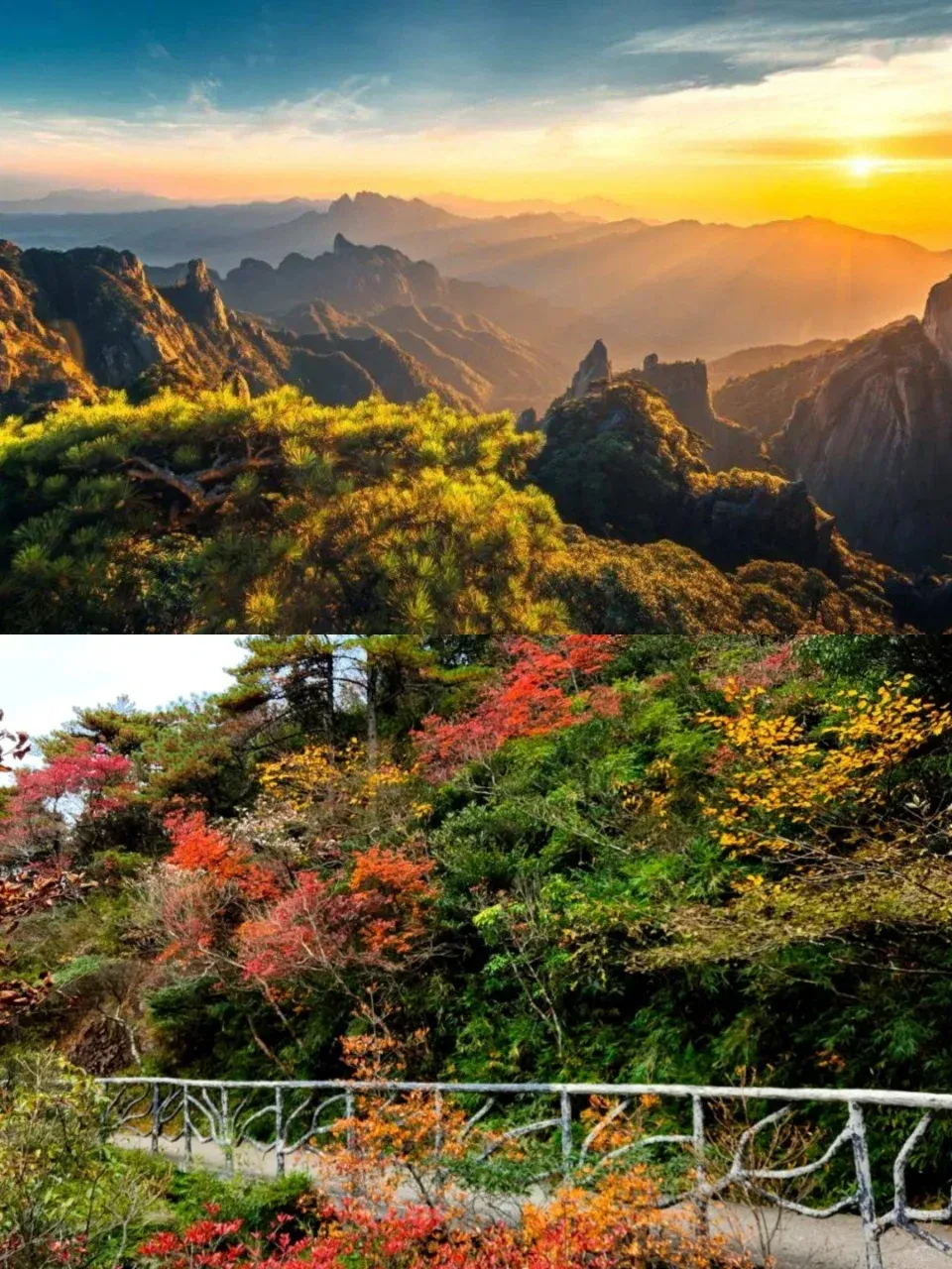 3b6ed1250ecc150d22c17ea2c4cb0215-sz_2664433