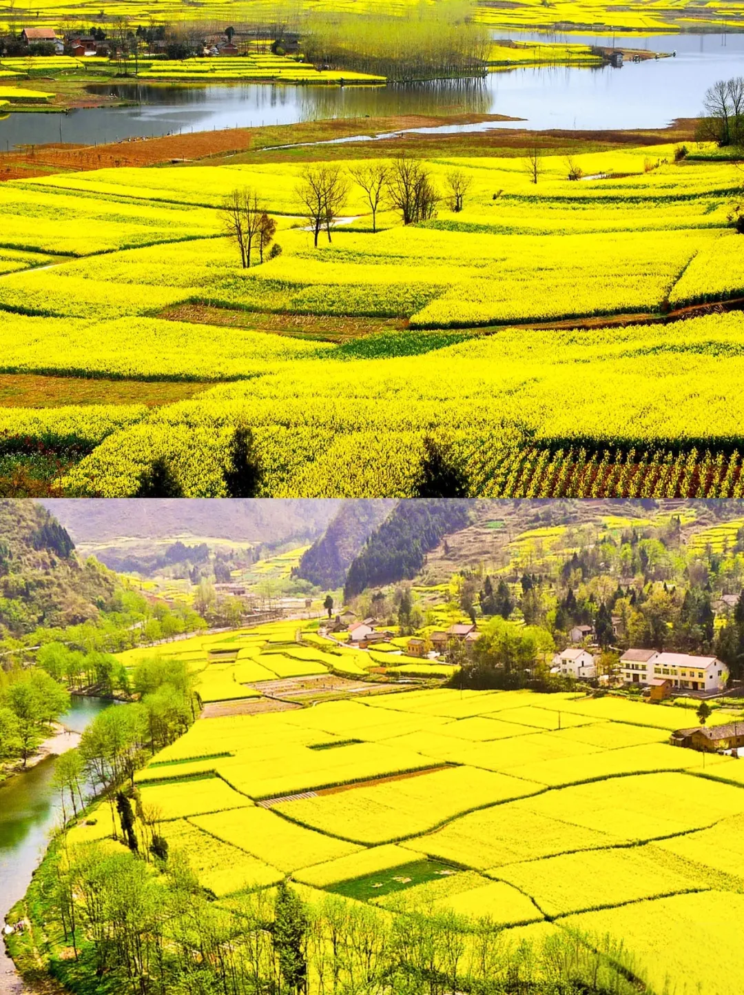 3b753c486cb2490e83cc9946d98321cf-sz_1077213-1 3b753c486cb2490e83cc9946d98321cf-sz_1077213-1