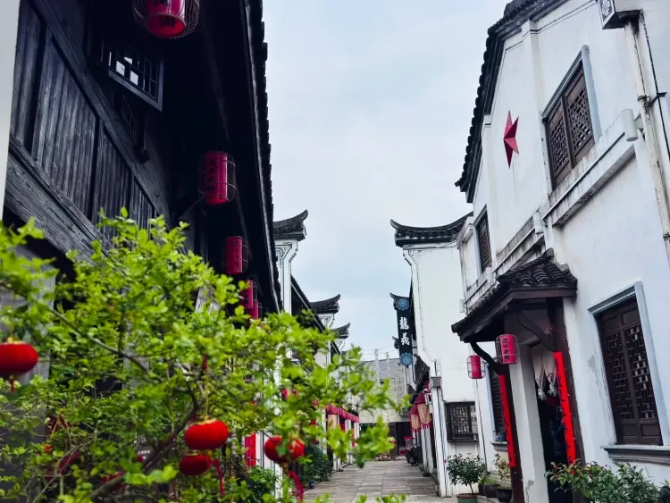 3ba4a82a5069d9bf8b98b4e259519476-sz_2734430