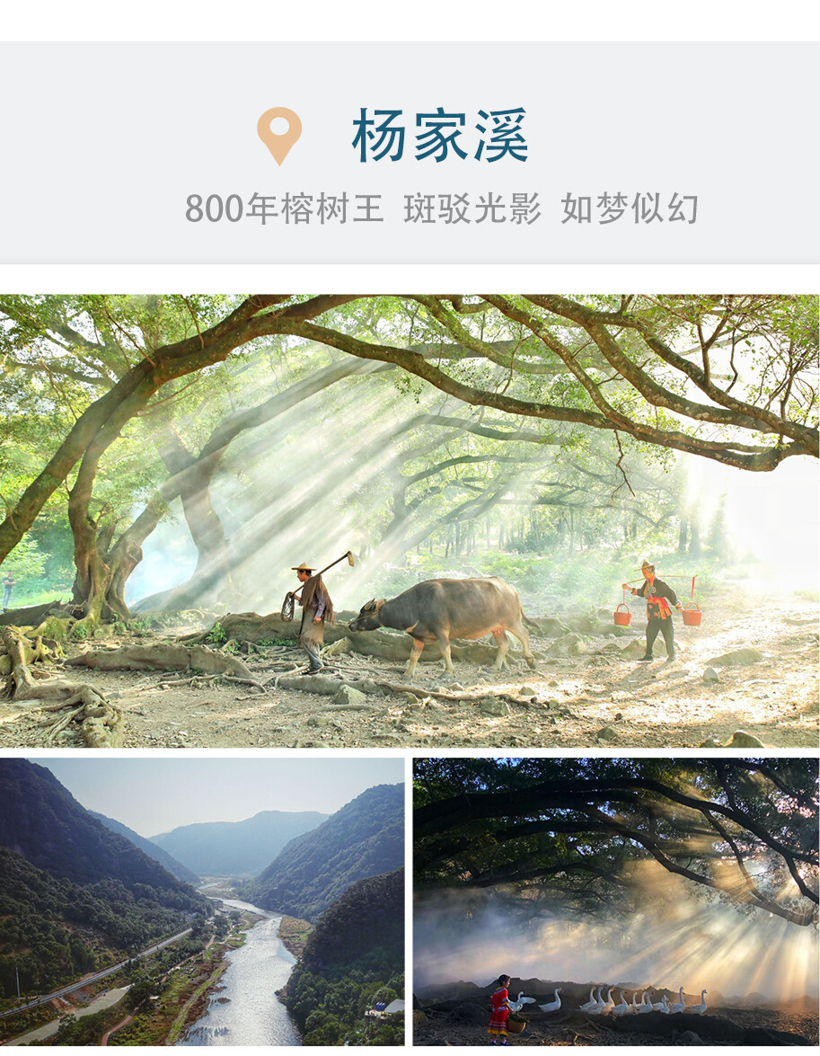 3bfa64df2189f2ca2898c10537e5d8b8-sz_905752