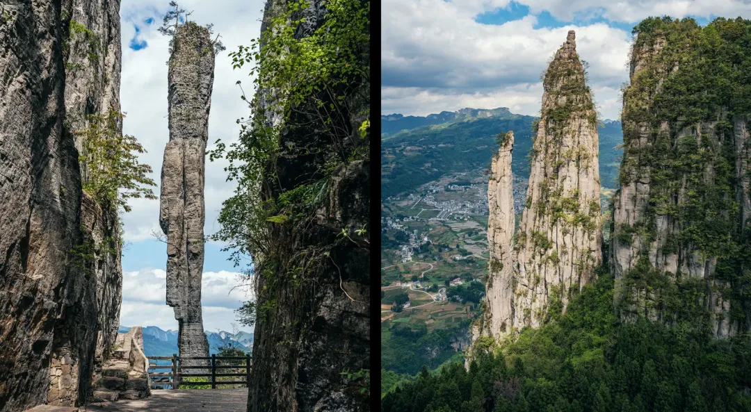 3c69d62fe862c82ab6de1c2f46469cb5-sz_3346713