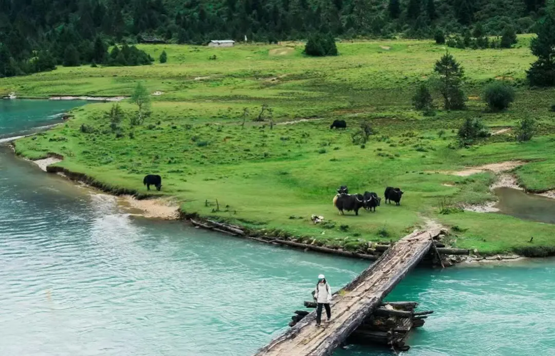 3cd2557a4814bda21e736fcd82c50a86-sz_396973