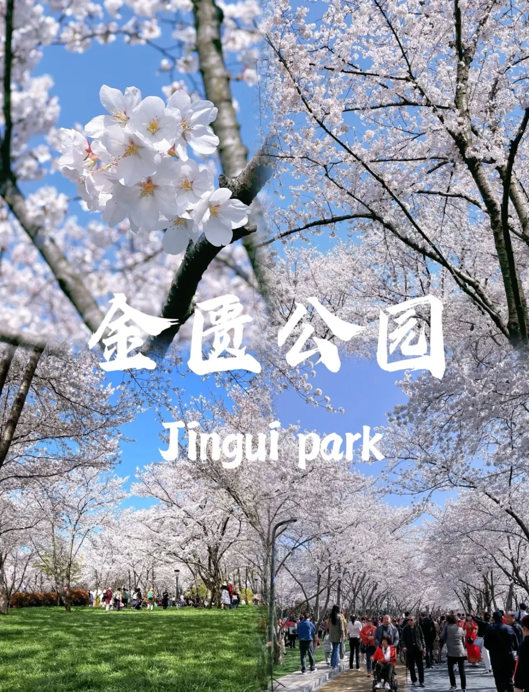 3cd381356a12151084417d9a3f9dcbb3-sz_839780-1