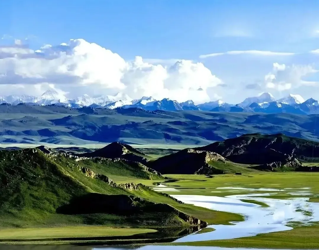 3ce5c2fc0a25167e68d4611f8196481d-sz_274253