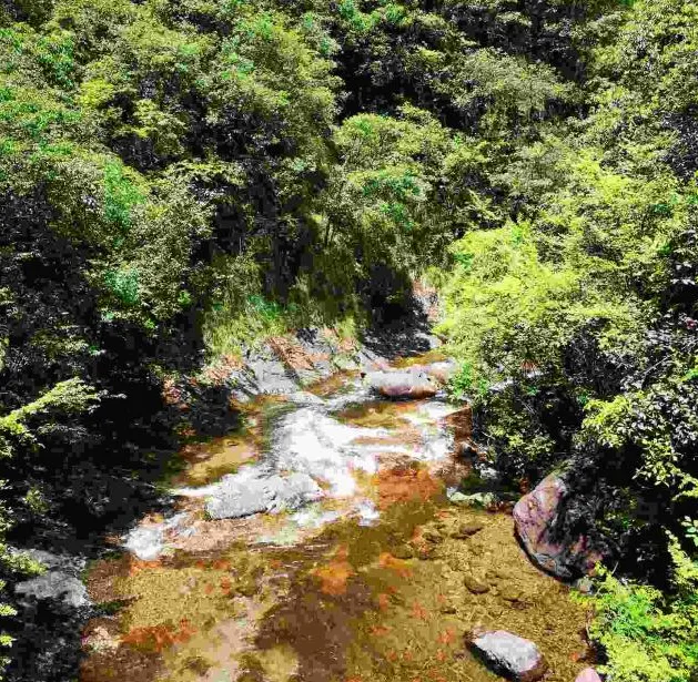 3cfa215286b674322786d3f0d4179681-sz_1040028