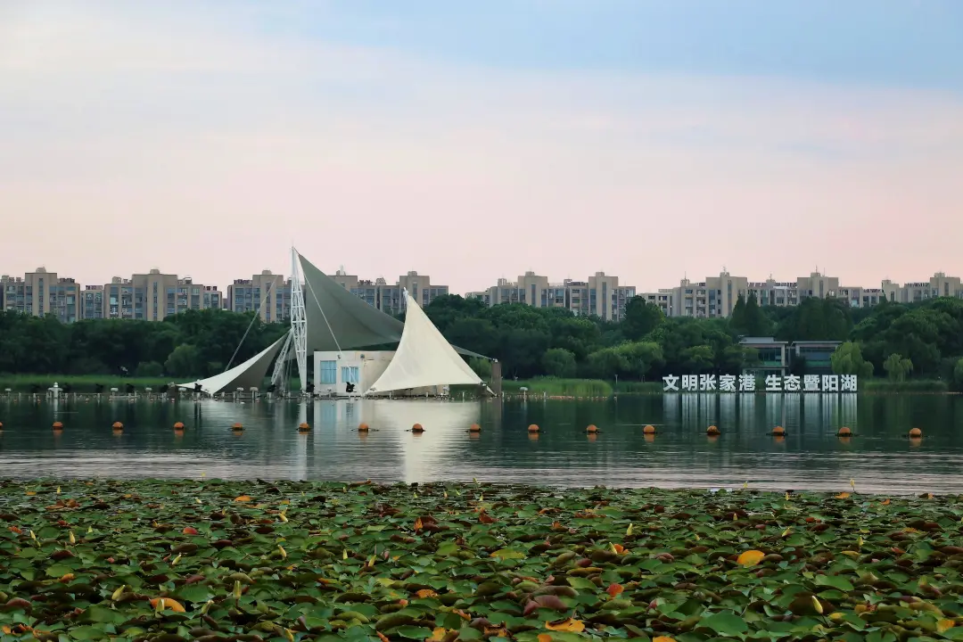 3cfc8ee7a29180edf5a4506a9f108aec-sz_971348