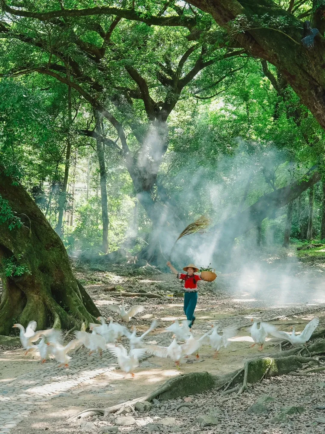 3cff1e168322683b49bf5ef680e029a8-sz_779141