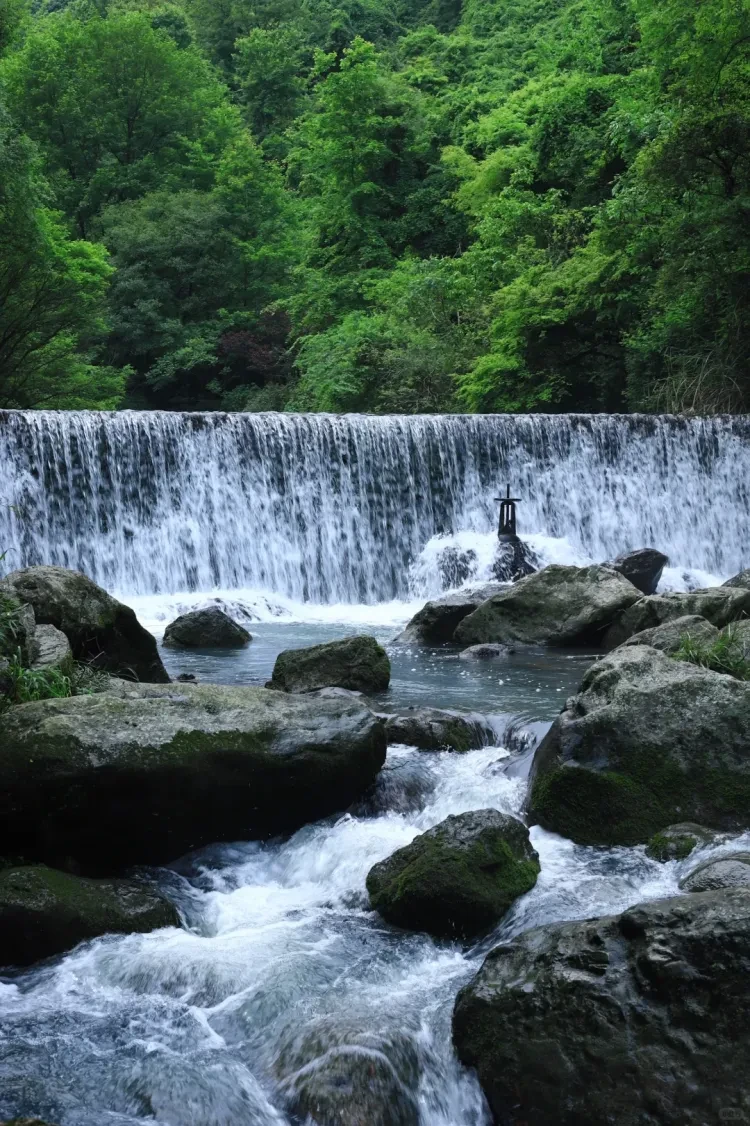 3d8a113623cece954218cb2eaf24e7f4-sz_4196461