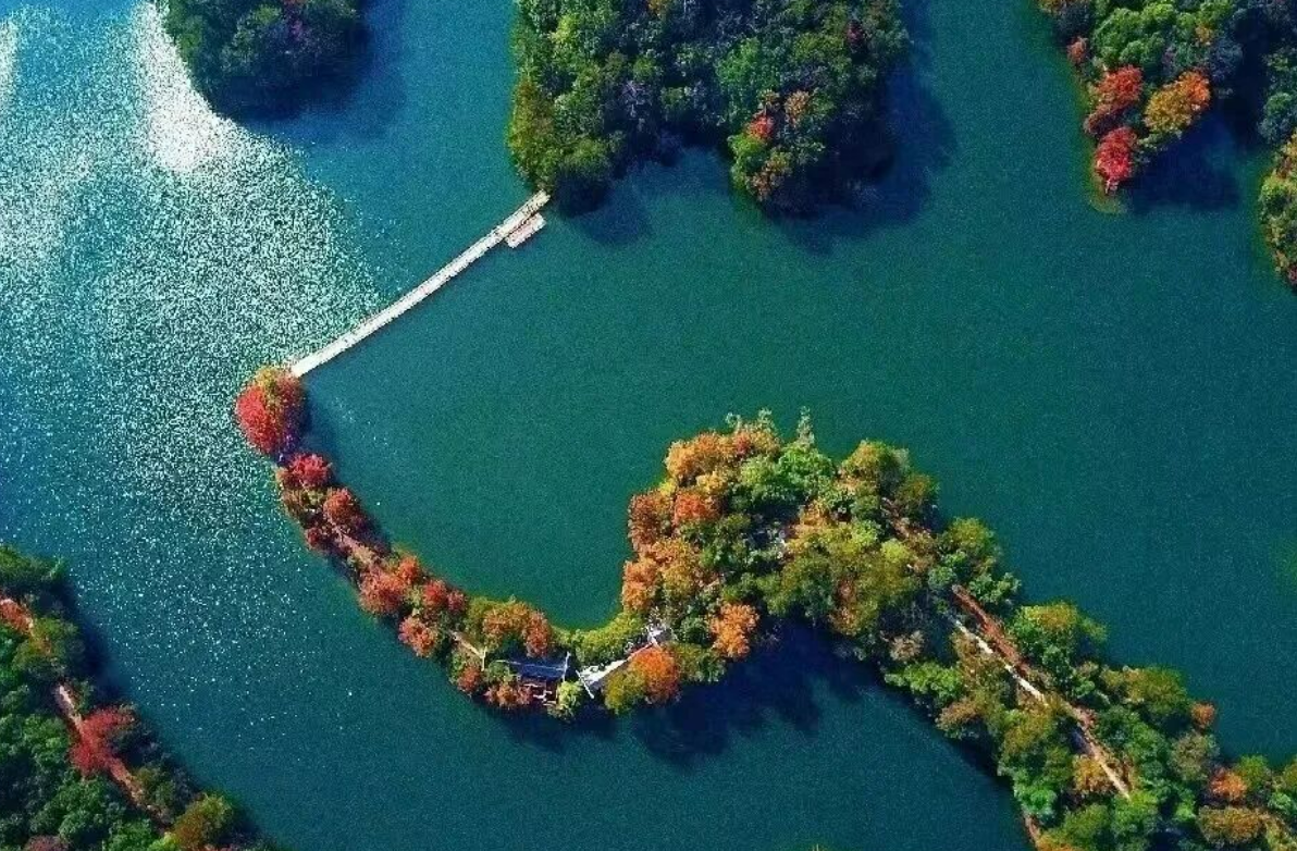 3dde1bb998ac2332e3913f024fe6530a