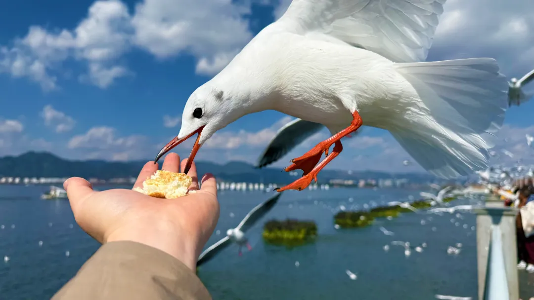 3e0200f931b076666df770c55e95d93c-sz_5553198