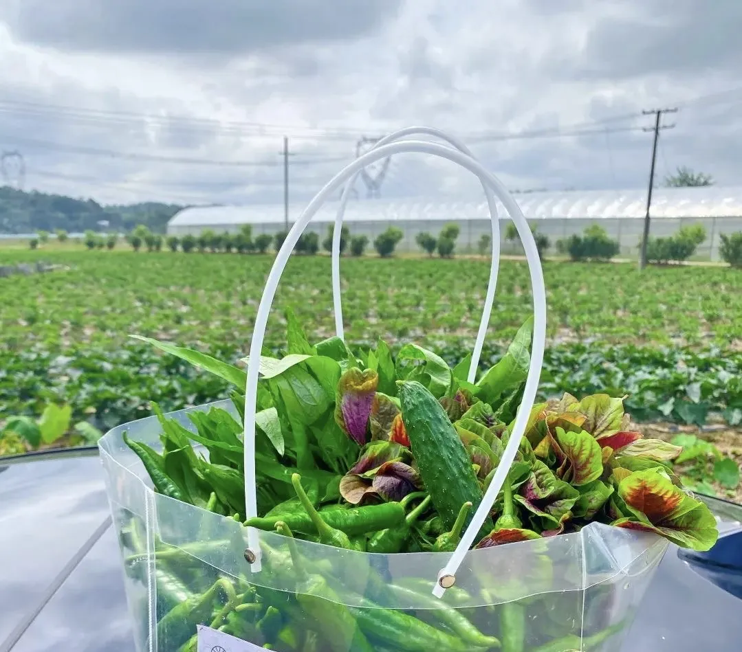 【仅限2个月！看演出送大礼】299元全含 宿四星设施酒店 送168元天仙缘演出+蔬菜礼包等三大豪礼 2早4正 餐餐特色宴 棋牌K歌畅享 苏北纯玩三日游