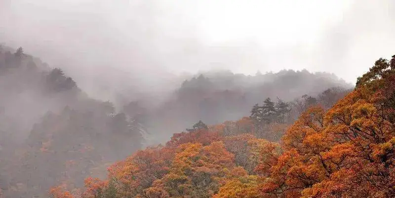 3e1afc502cf1f8924de67442639fdd8e-sz_39275