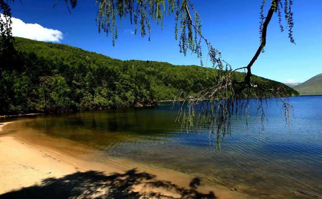 3e457bb24bf4150b47dbd98a5dafebf2-sz_260548 3e457bb24bf4150b47dbd98a5dafebf2-sz_260548