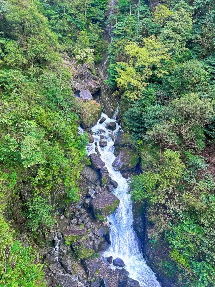 3e477e0dec8e79bbe43f4d7c0b91aee6-sz_4580440