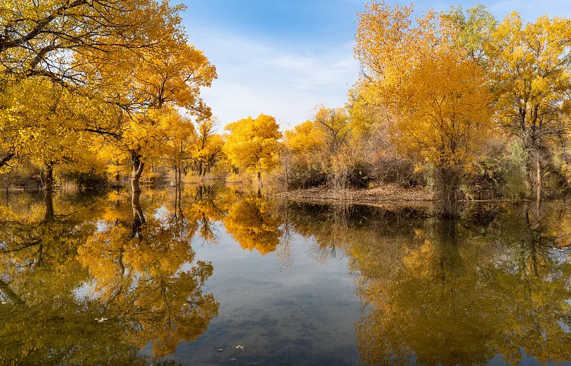 3f02349fc053c8a7264854dcfdb1070a-sz_336370