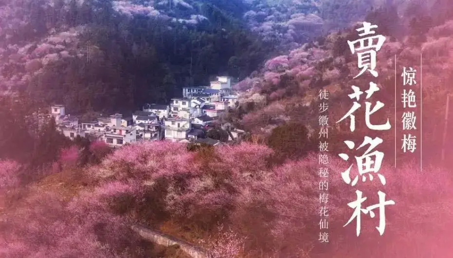 3f790f73be34c6265b6166dcfb045b6e-sz_82877