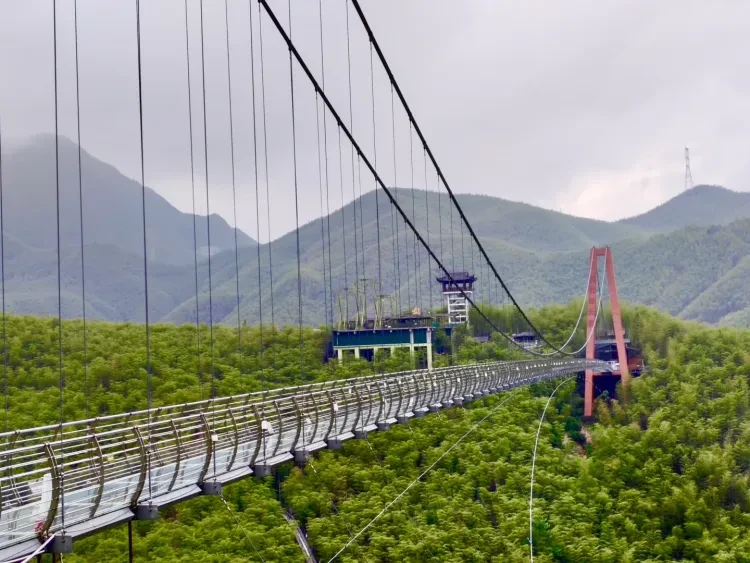 3fd36f9c320f40d53253d059a5878a09-sz_2572571