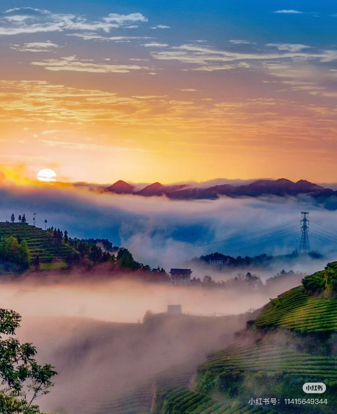 3ff01ac037900ec8eba4b12f4e278b6f-sz_307034