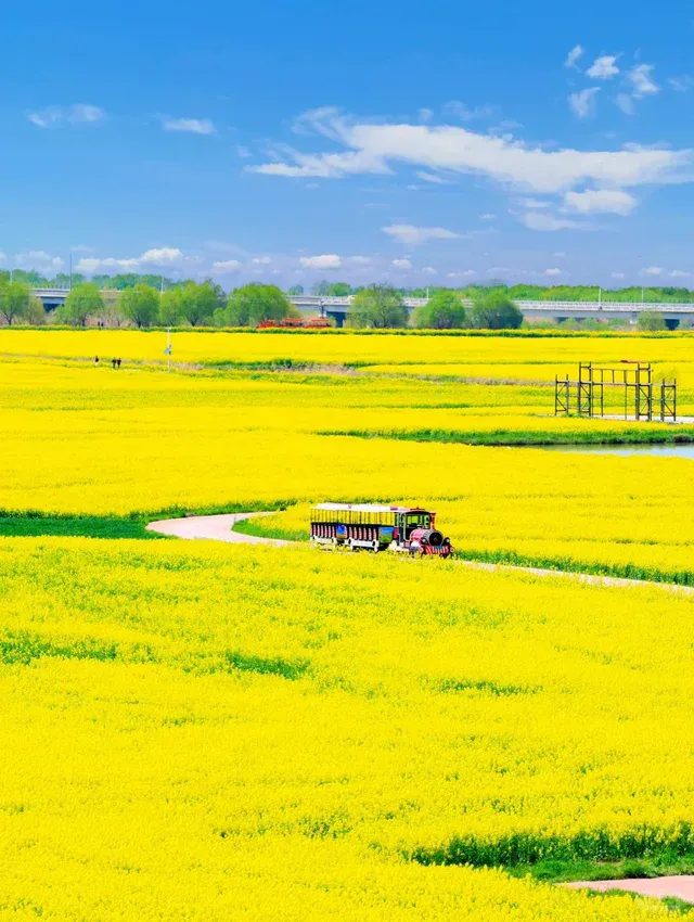 4047d1f8d6cdab85878f83f8ccc57787-sz_690487