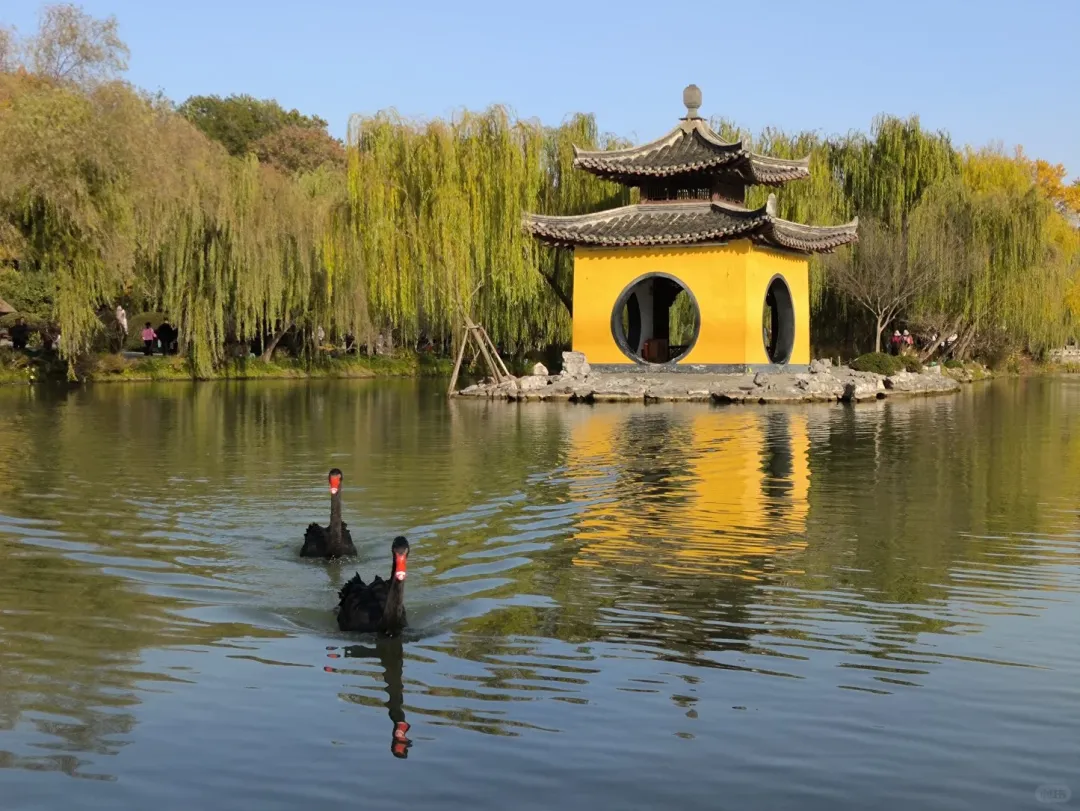 404f226e0b33cbd457bd0c8b141b548e-sz_2124208