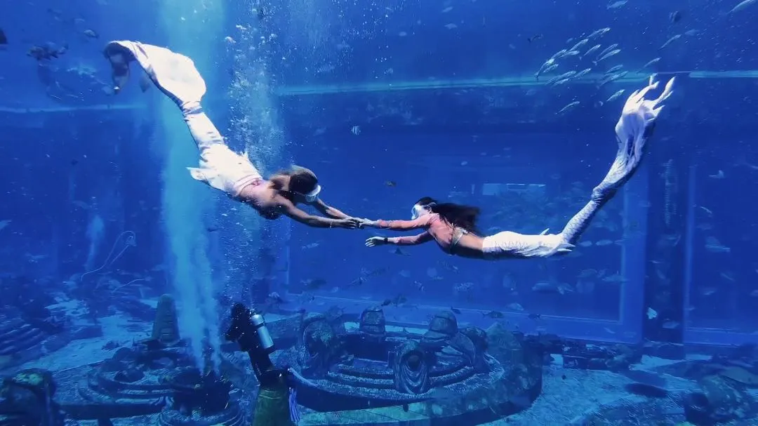 405aac8a5131ab1b27ded768721dec58-sz_1253513