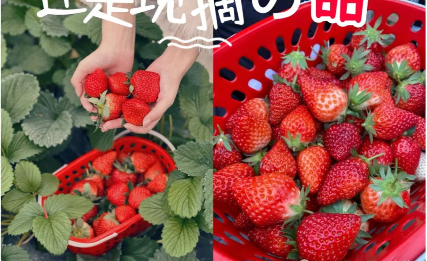 407ba5b4ee7fb72fe130a185d09f67bc