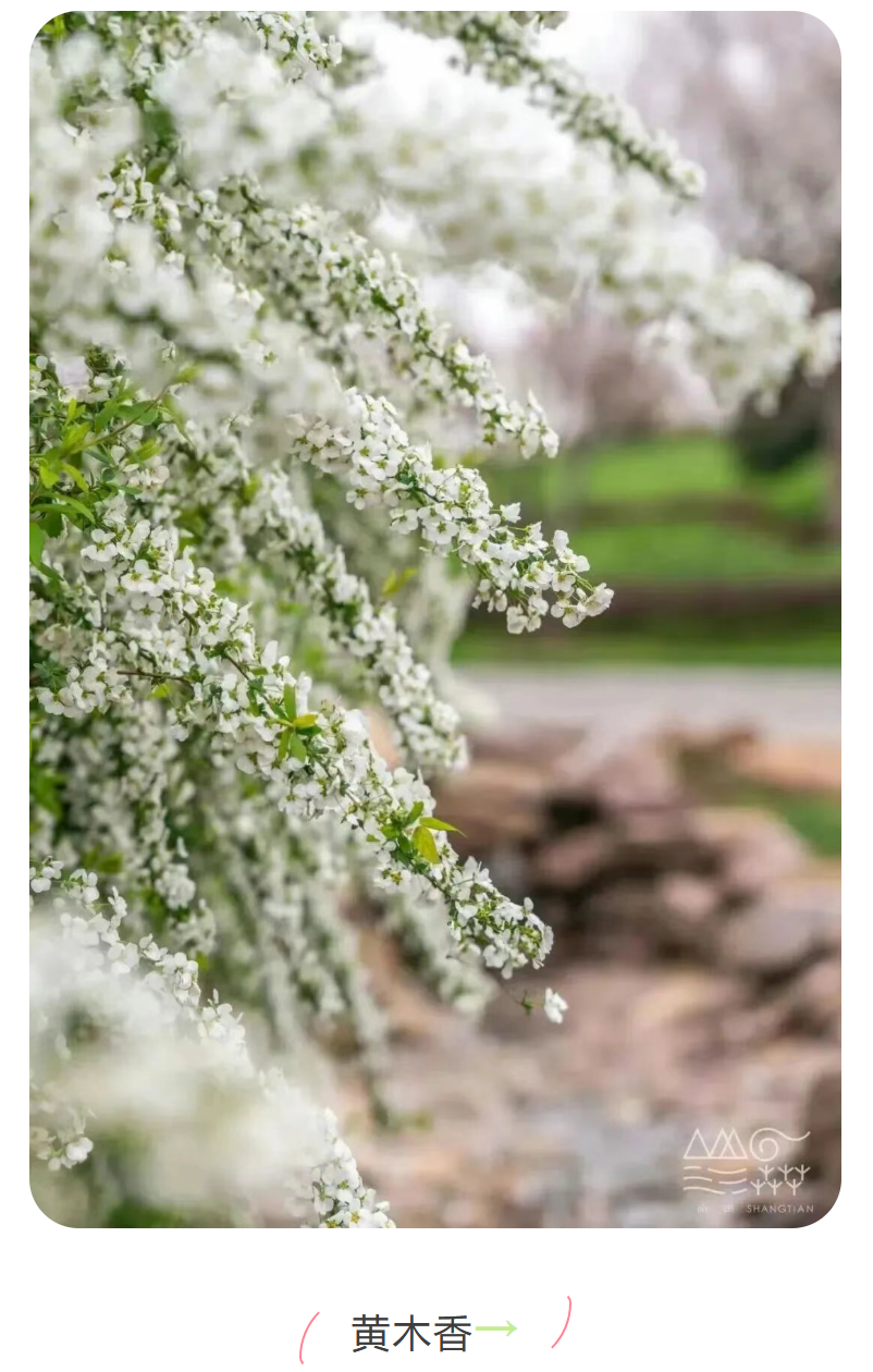 408575fcb2e2d20521ce664c3375b537 408575fcb2e2d20521ce664c3375b537