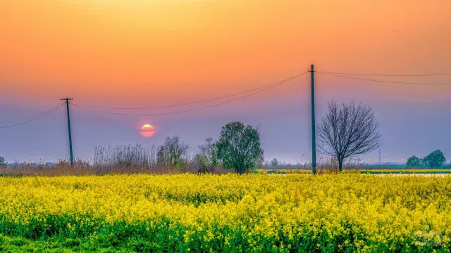 4087ad1da4a2b8cc2cc1de2dff87874c-sz_279928